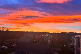 6009 Yarrow St, Arvada, CO 80004 - Photo 43