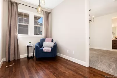 10640 Star Thistle Court, Highlands Ranch, CO 80126 - Photo 27