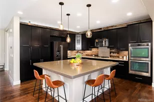 10640 Star Thistle Ct, Highlands Ranch, CO 80126 - Photo 11