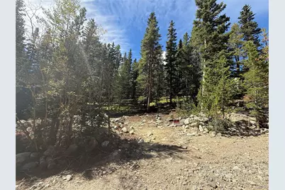 151 Lake Road, Idaho Springs, CO 80452 - Photo 3