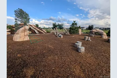 6109 Zebulon Place, Timnath, CO 80547 - Photo 43