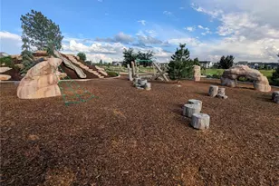 6109 Zebulon Pl, Timnath, CO 80547 - Photo 43