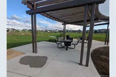 6109 Zebulon Place, Timnath, CO 80547 - Photo 45