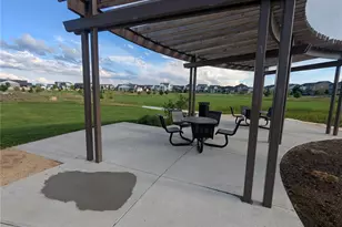 6109 Zebulon Pl, Timnath, CO 80547 - Photo 45