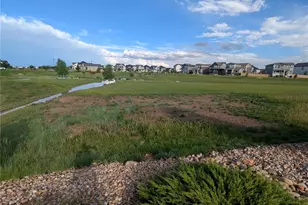 6109 Zebulon Pl, Timnath, CO 80547 - Photo 39