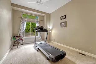 3205 Coyote Hills Ct, Castle Rock, CO 80109 - Photo 33