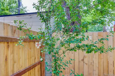 734 N Downing Street, Denver, CO 80218 - Photo 19