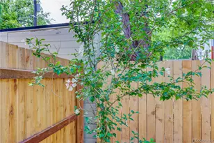 734 N Downing St, Denver, CO 80218 - Photo 19