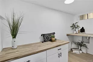 734 N Downing St, Denver, CO 80218 - Photo 37