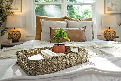 734 N Downing Street, Denver, CO 80218 - Photo 5