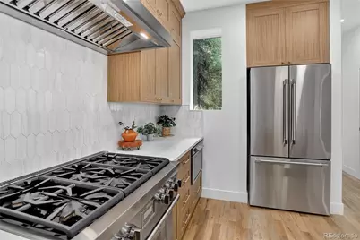 734 N Downing Street, Denver, CO 80218 - Photo 9