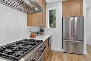 734 N Downing St, Denver, CO 80218 - Photo 9