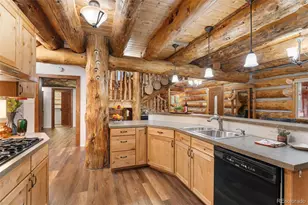 102 Carmargo Rd, Pine, CO 80470 - Photo 15