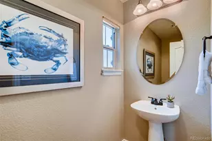 9139 Viaggio Way, Highlands Ranch, CO 80126 - Photo 13