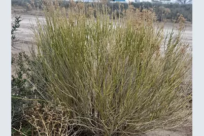 Lot 31 Aspen Avenue, Alamosa, CO 81101 - Photo 13