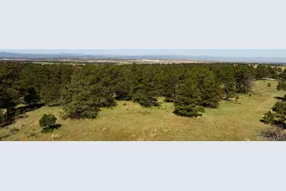 10324 Pine Song Place, Parker, CO 80138 - Photo 17