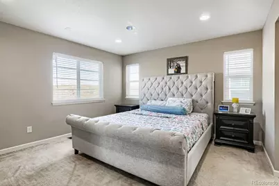 3397 Bittern Street, Castle Rock, CO 80104 - Photo 19