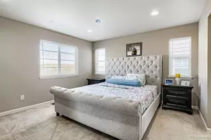 3397 Bittern St, Castle Rock, CO 80104 - Photo 19
