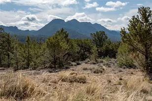 30563 Stampede Run, Buena Vista, CO 81211 - Photo 47