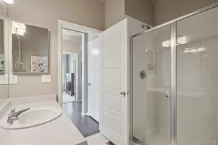 4438 Sidewinder Loop, Castle Rock, CO 80108 - Photo 17