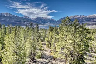 165 Reva Ridge Rd, Twin Lakes, CO 81251 - Photo 39