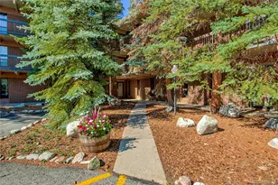 222 Creekside Dr, Frisco, CO 80443 - Photo 1