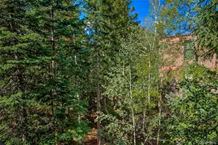 222 Creekside Dr, Frisco, CO 80443 - Photo 35
