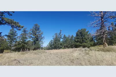 Lot 5821 Covington Road, Fort Garland, CO 81133 - Photo 11