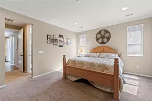 9184 Rio Lado St, Littleton, CO 80125 - Photo 11