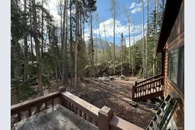 25981 County Road 162 E, Nathrop, CO 81236 - Photo 9