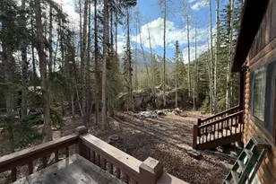25981 County Road 162 E, Nathrop, CO 81236 - Photo 9