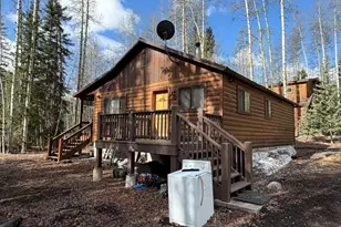 25981 County Road 162 E, Nathrop, CO 81236 - Photo 3