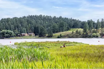 730 Bendemeer Drive, Evergreen, CO 80439 - Photo 47