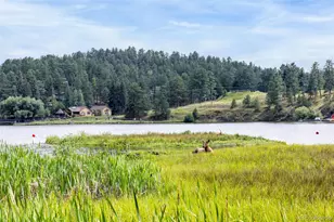 730 Bendemeer Dr, Evergreen, CO 80439 - Photo 47