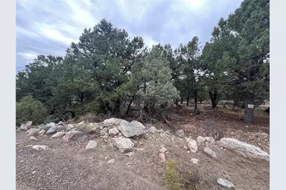 1915 Lone Pine Way, Crestone, CO 81131 - Photo 3