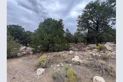 1915 Lone Pine Way, Crestone, CO 81131 - Photo 13
