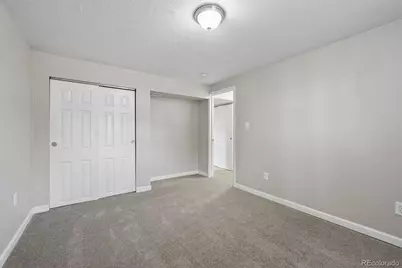 546 Leona Drive, Denver, CO 80221 - Photo 21