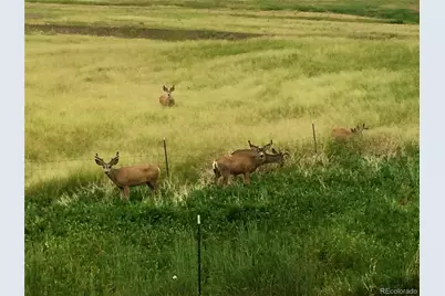 4190 County Road 154, Elizabeth, CO 80107 - Photo 43