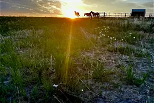 4190 Co Rd 154, Elizabeth, CO 80107 - Photo 43