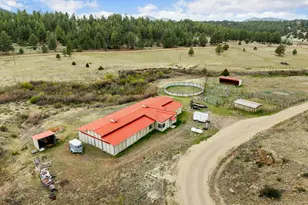 40 Bear Ridge Rd, Westcliffe, CO 81252 - Photo 3