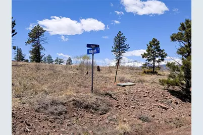 288 Hagin Lane, Fort Garland, CO 81133 - Photo 3