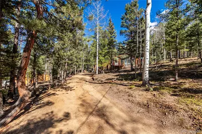 44 Anderson Road, Florissant, CO 80816 - Photo 31