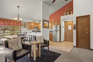 100 Wild Irishman Rd, Dillon, CO 80435 - Photo 7