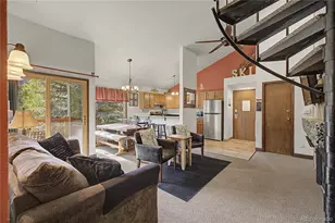 100 Wild Irishman Rd, Dillon, CO 80435 - Photo 9