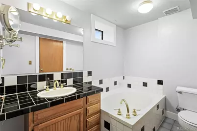 323 S Race Street, Denver, CO 80209 - Photo 29