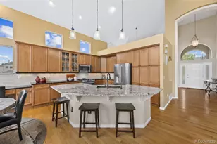 5861 Jasper Pointe Cir, Castle Pines, CO 80108 - Photo 9