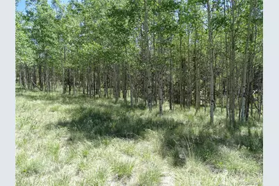 782 Bowstring Road, Como, CO 80432 - Photo 21