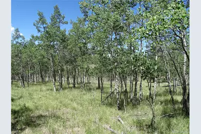 782 Bowstring Road, Como, CO 80432 - Photo 5