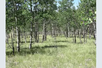 782 Bowstring Road, Como, CO 80432 - Photo 9