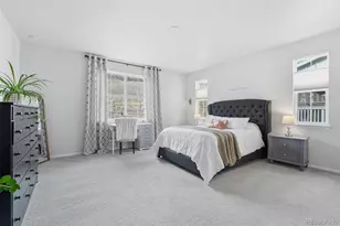 865 Oleander St, Castle Rock, CO 80109 - Photo 19